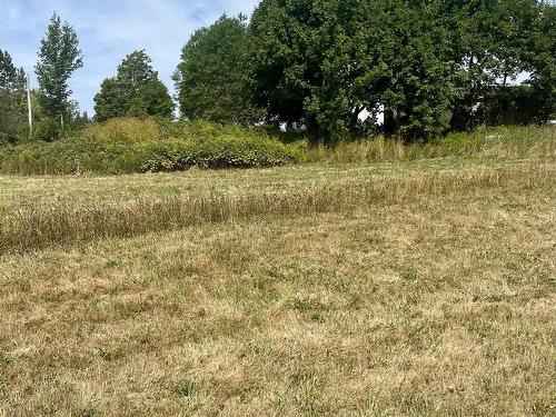 3040 Clementsvale Road, Bear River East, NS 