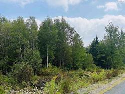 Lot Alpena Road  East Inglisville, NS B0S 1M0