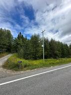 Route Principale  Wentworth-Nord, QC J0T 1Y0