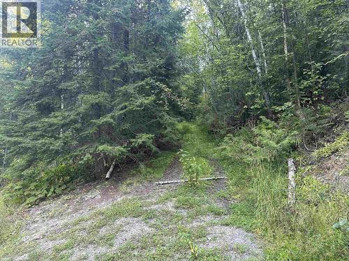 6390 Keithley Creek Road, Likely, BC - Outdoor