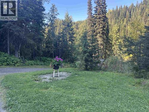 6390 Keithley Creek Road, Likely, BC - Outdoor With View