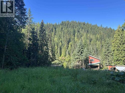 6390 Keithley Creek Road, Likely, BC - Outdoor With View