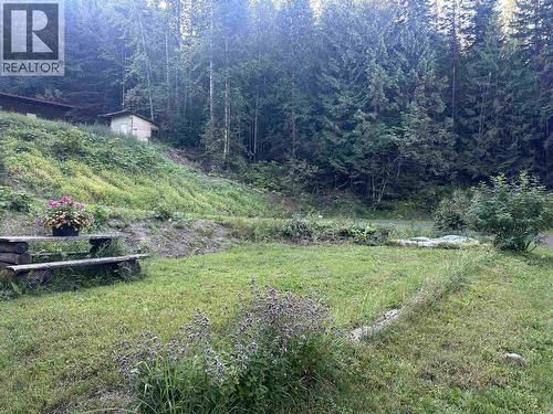 6390 Keithley Creek Road, Likely, BC - Outdoor With View