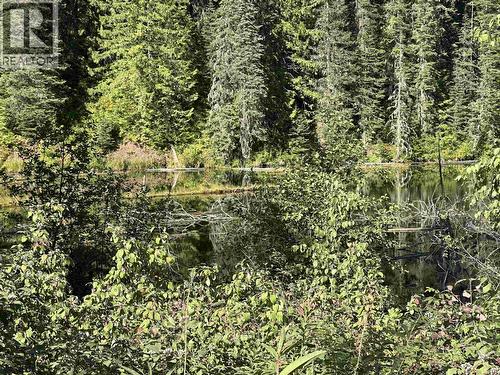 6390 Keithley Creek Road, Likely, BC - Outdoor