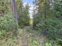 Lot 1 Tatlow Road, Salmon Arm, BC  - Outdoor 