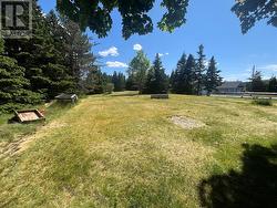 21 Hearns Road  South River, NL A0A 3W0