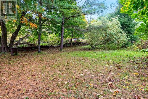 78 Garafraxa Street, Chatsworth, ON - Outdoor