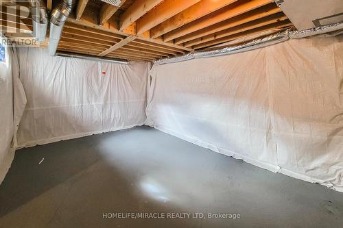 63 Magdalena Street, Hamilton, ON - Indoor Photo Showing Basement