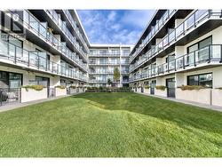 Common lawns - 