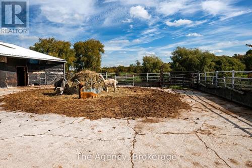 5150 17 Side Road, King (Schomberg), ON 