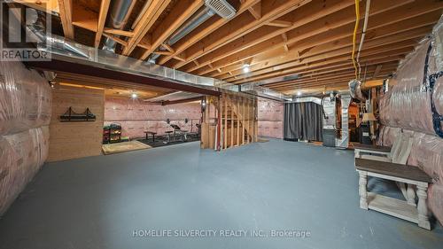 93 Lorne Card Drive, Brant, ON - Indoor Photo Showing Basement