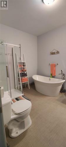 50 Harbour Drive, Greenspond, NL 