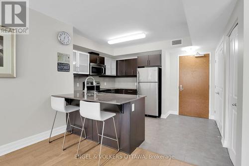 202 - 195 Besserer Street, Ottawa, ON - Indoor Photo Showing Kitchen