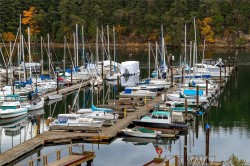 401-1250 Stewart Ave  Nanaimo, BC V9S 4C9