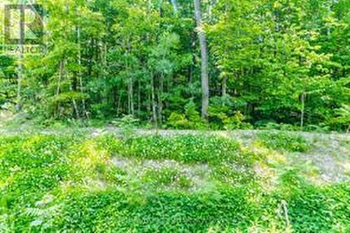 The Lot - Lot 41 Explorers Landing, Tiny, ON 