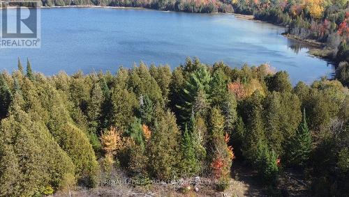 6107 Buckshot Lake Road, Frontenac (Frontenac North), ON 