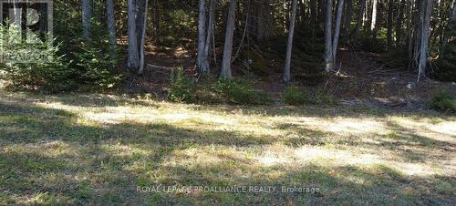 6107 Buckshot Lake Road, Frontenac (Frontenac North), ON 