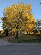 A-554177 Mono-Amaranth Townline S Mono, ON L9W 5M7