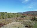 Belle Marche Highway, Belle Marche, NS 