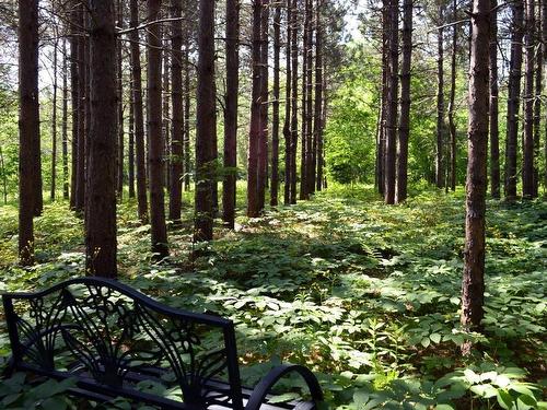 Lot 3 Colonial Arms Drive Accc#4, Deep Brook, NS 