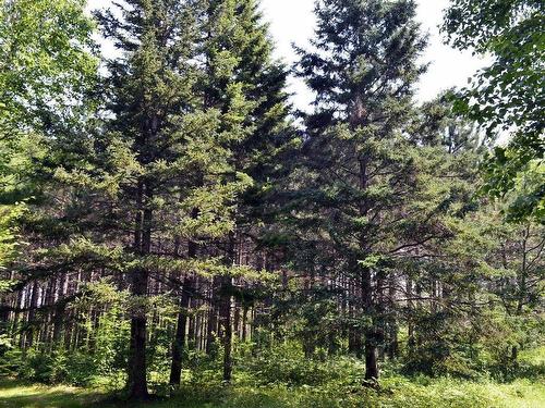 Lot 3 Colonial Arms Drive Accc#4, Deep Brook, NS 