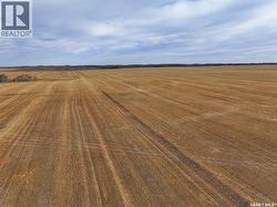 K & K Cattle Co. Ltd.  Maple Creek Rm No. 111, SK S0N 0T0