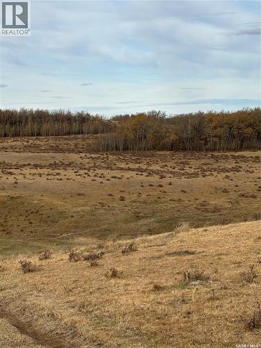 K & K Cattle Co. Ltd., Maple Creek Rm No. 111, SK 