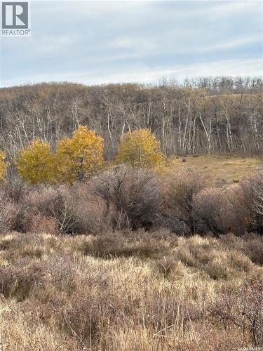 K & K Cattle Co. Ltd., Maple Creek Rm No. 111, SK 