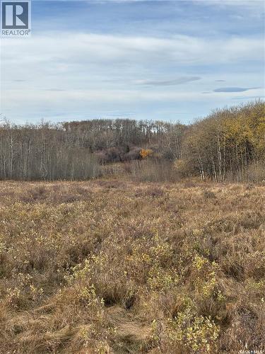 K & K Cattle Co. Ltd., Maple Creek Rm No. 111, SK 