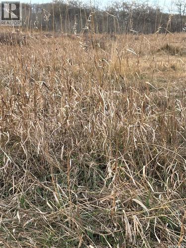 K & K Cattle Co. Ltd., Maple Creek Rm No. 111, SK 