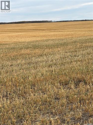 K & K Cattle Co. Ltd., Maple Creek Rm No. 111, SK 