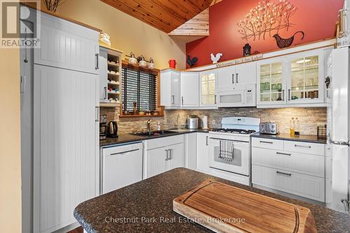 1109 Canopy Lane, Algonquin Highlands (Stanhope), ON - Indoor Photo Showing Kitchen