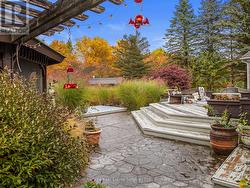 Deck and view of pool and Woods beyong - 