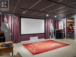 Screen in Media Room - 