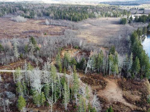 Barren Road, River Denys, NS 