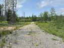 Barren Road, River Denys, NS 