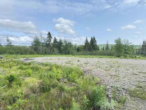 Barren Road, River Denys, NS 