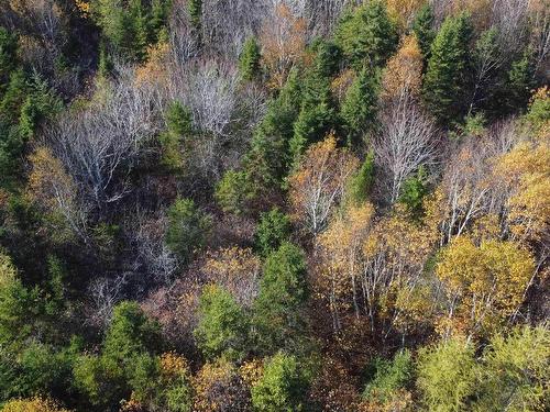 0 Beaver River Road, Cedar Lake, NS 