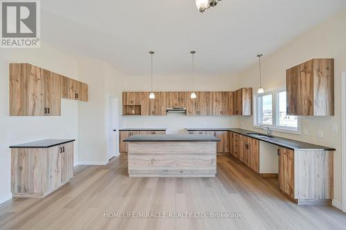 16 Munn Crescent, Brant, ON - Indoor Photo Showing Kitchen