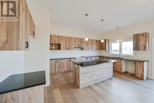 16 Munn Crescent, Brant, ON - Indoor Photo Showing Kitchen
