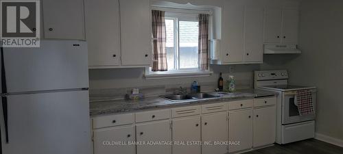 upper kitchen - 14 Albert Street, Welland (Welland Downtown), ON - Indoor Photo Showing Kitchen With Double Sink