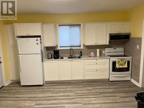 14 Albert Street, Welland (Welland Downtown), ON - Indoor Photo Showing Kitchen With Double Sink