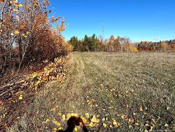 3 acres ch Eustache Hache  Saint-Isidore, NB E8M 1G7