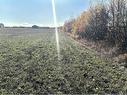 3 Acres Ch Eustache Hache, Saint-Isidore, NB 