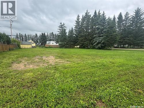 420 Taylor Avenue, Springside, SK 