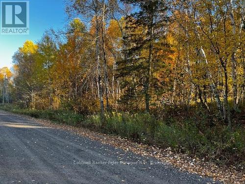 Lot 16 Seymour Street, North Bay (Birchaven), ON 