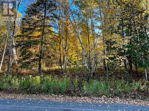 Lot 16 Seymour Street, North Bay (Birchaven), ON 