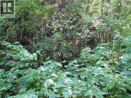 1365 Forest Road, Castlegar, BC 