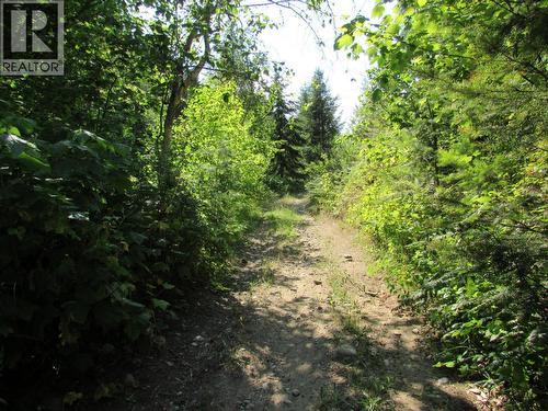 1365 Forest Road, Castlegar, BC 