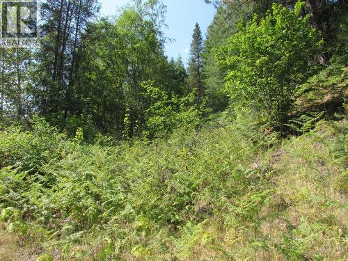 1365 Forest Road, Castlegar, BC 